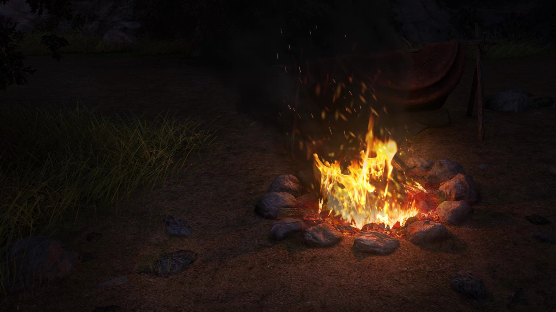 Pillars of Eternity: Complete Edition - Imagen 37